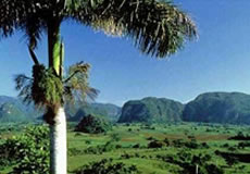 Viñales