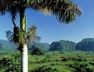 Viñales: more info, localities y hotels