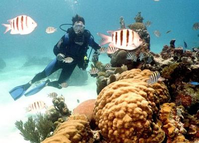 Diving in Varadero beach