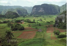 Pinar del Rio