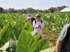 Cuba: Rural Tourism options redesigned