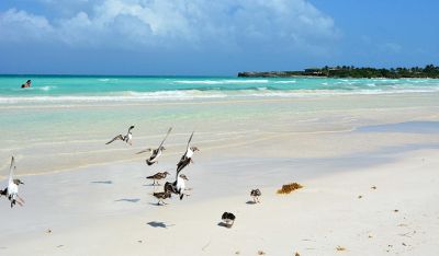 Jardines del Rey facilities certified with a view to restarting tourism.